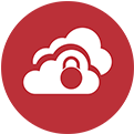 security-icons_MonitorActivityOval-red_v2 (1)