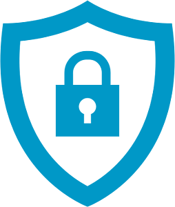icon-secure-and-protect